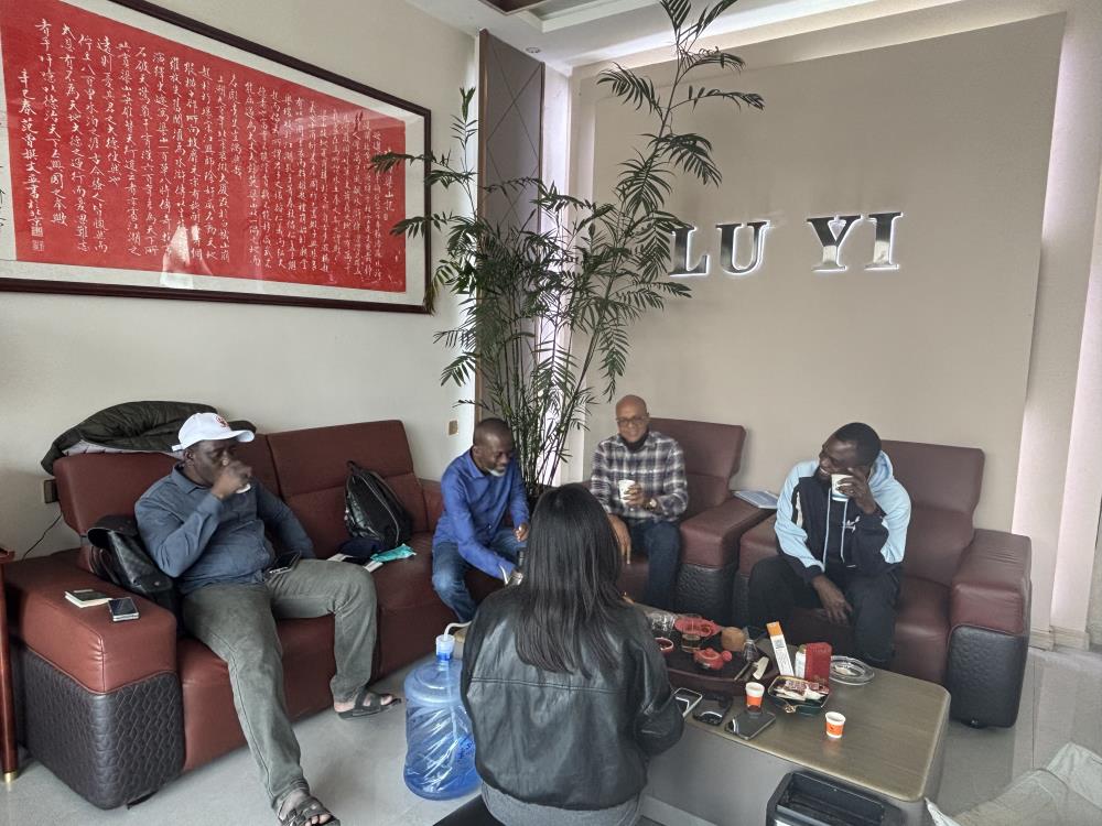 Luyi Auto가 나이지리아 건설 고객이 맞춤형 40톤 로우베드 세미트레일러 12대를 사용하여 중장비 운송을 개선하도록 도운 방법