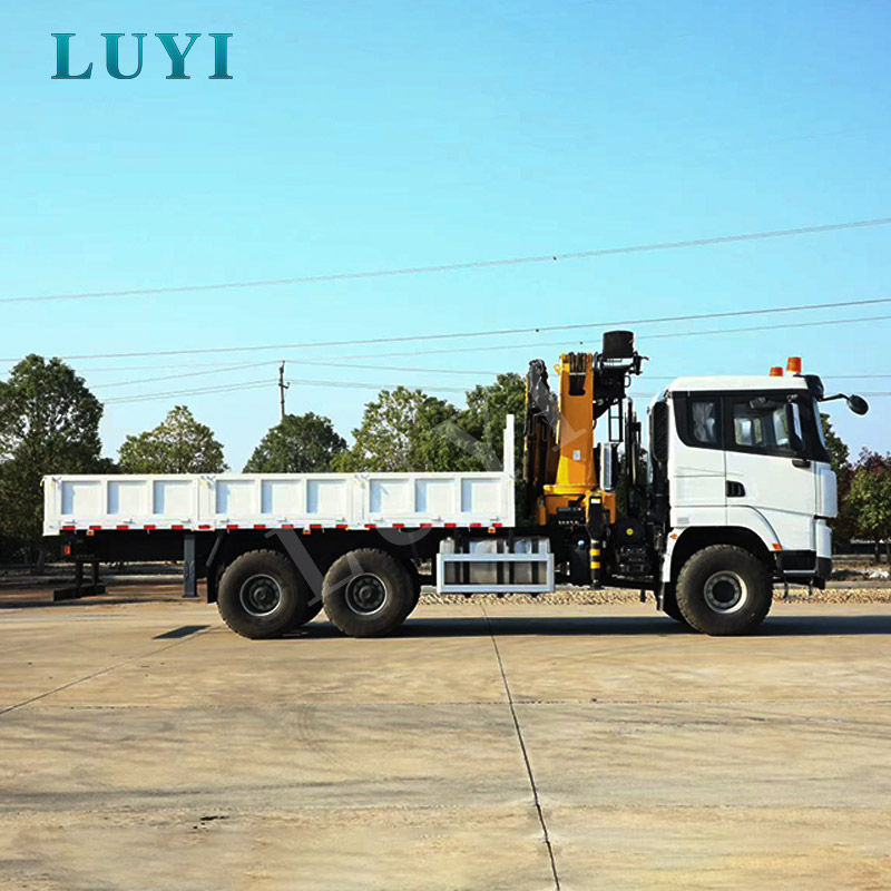 PALFINGER SANY 크레인을 갖춘 SHACMAN 트럭: 최고의 올인원 작업대